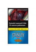 Tutun Stanley BLUE 35g