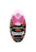 Capsule tigari RioTabak Cherry Mint (100)