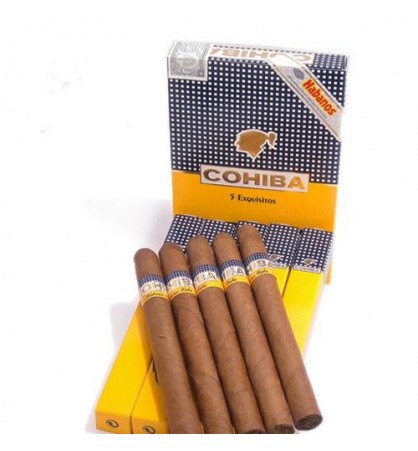 Trabucuri Cohiba Exquisitos 5