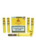 Trabucuri Montecristo Petit 5 Tub