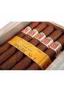 Trabucuri Hoyo de Monterrey Epicure No. 1 25