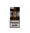 Trabucuri Dunhill Celebration Collection Robusto 3