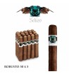 Trabucuri Schizo Robusto 50 x 5 Nicaragua 20